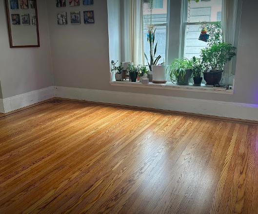 photo shows a refinished hardwood floor in a sunroom -- plants are in a window.